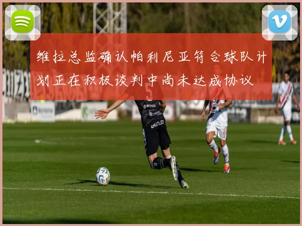 维拉总监确认帕利尼亚符合球队计划正在积极谈判中尚未达成协议