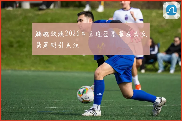 鹈鹕欲换2026年乐透签墨菲成为交易筹码引关注